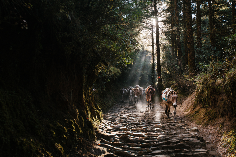 Illustration for article titled Buying These Epic Photos Will Help Nepal